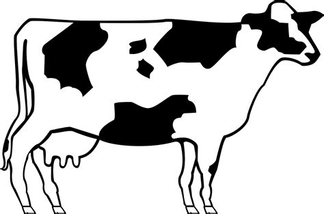 Cow Livestock Cattle Free Vector Graphic On Pixabay