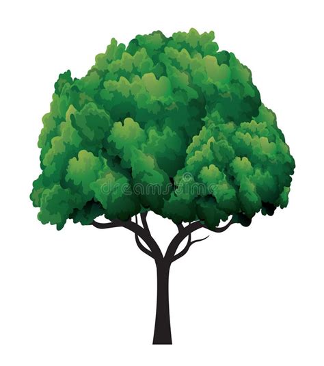 Green Tree Isolated On White Background Vector Outline Icon Stock