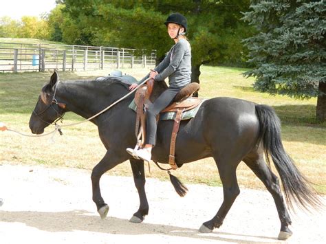 2011 Fall Horseback Riding