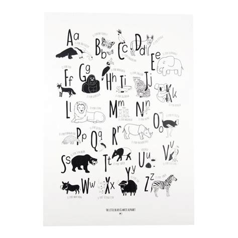 British Animals A3 Print With Black And White Illustrations