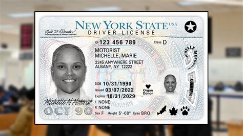 Is The New York State Department Of Motor Vehicles Open Yet