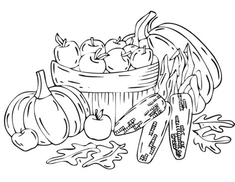 Fall Harvest Coloring Pages Sketch Coloring Page