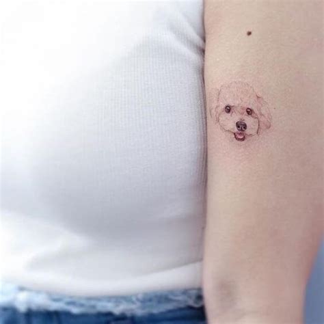 The 22 Fascinating Bichon Frise Tattoo Designs Page 4 Of 8 The Dogman