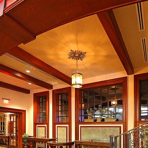 Welcome to veneshe master venetian plastering. Venetian Plaster on the walls and Ceiling Medallion ...