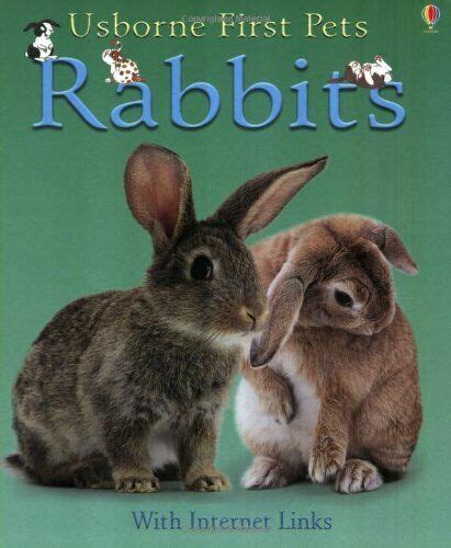 Rabbits Usborne First Pets S Paperback Book The Fast Free Shipping