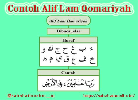 Huruf syamsiyah terdapat 14 huruf. Contoh Alif Lam Qomariyah: Pengertian, Huruf dan Cara Baca