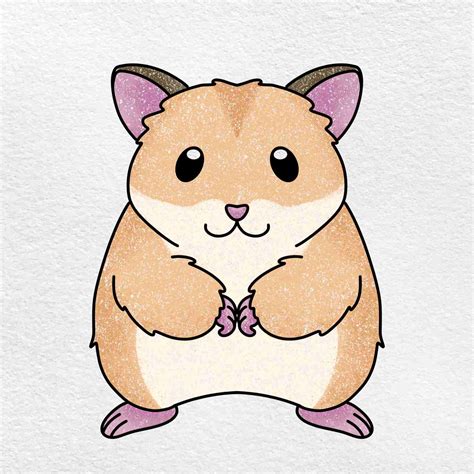 How To Draw A Hamster Helloartsy