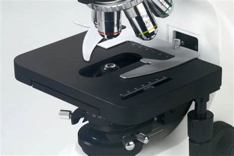 Bk6000 Series Biological Microscope Biological Microscope 欧颜国际有限公司 Wifi