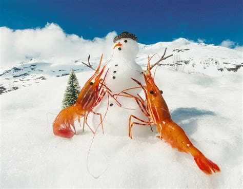Shrimp Building A Snowman Card By Shrimp Whisperer Ak Etsy