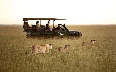 Best Safari Outfitters Worlds Best 2019