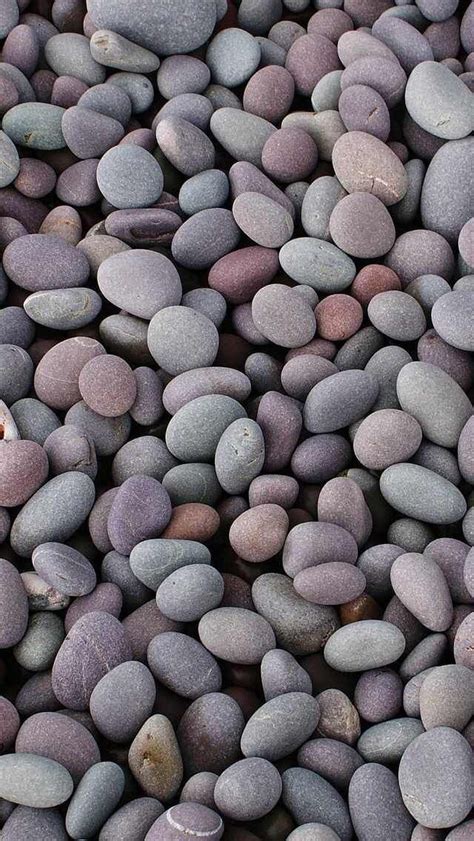 Pebbles My Favorite Iphone Wallpaper Ive Found On The Web In 2020
