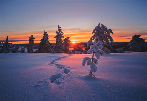 Winter wonderland in Finnish Lapland - Sebastien TOUPANCE | Photo