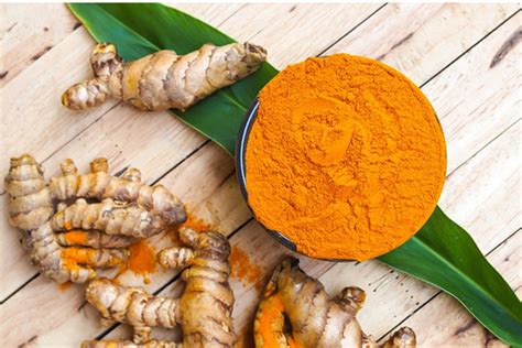 Fresh Turmeric Exporters And Import From India Aworld Exports