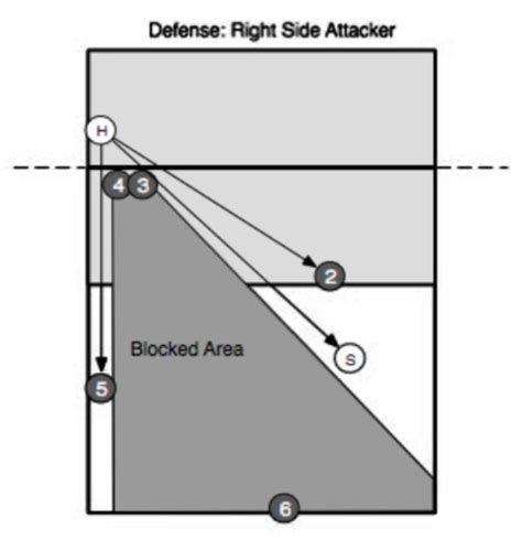 Volleyball Rotational Defense Diagram Wiring Diagram Pictures