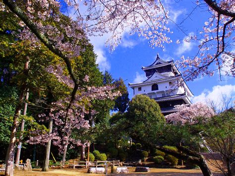Iwakuni Castle Chugoku＋shikoku×tokyo Japan
