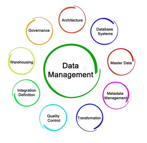 Master Data Management Stock Illustration Illustration Of Management