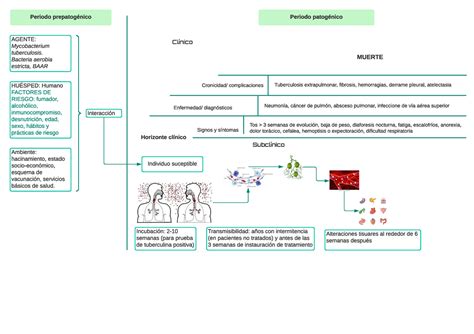 Historia Natural De Tuberculosis Periodo Prepatogénico Agente Mycobacterium Tuberculosis