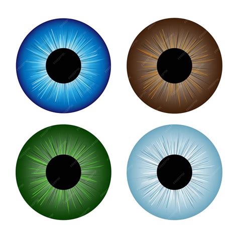 Premium Vector Human Eyeballs Iris Pupils Set Assorted Colors