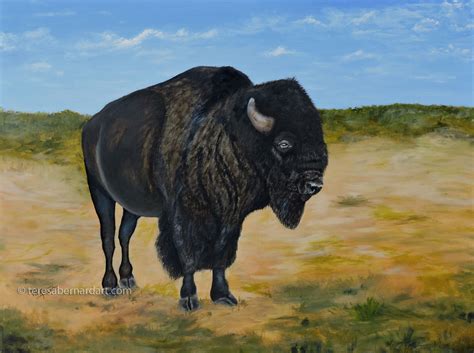 The American Bison Teresa Bernard Oil Paintings