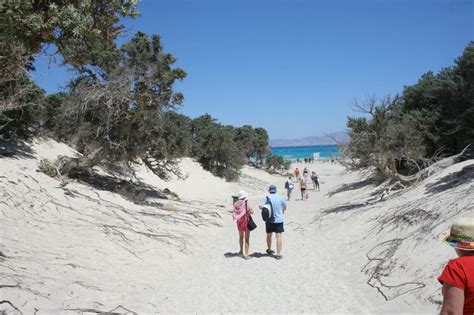 Chrissi Island Golden Beach Goxplore Tours Quad Safari Crete