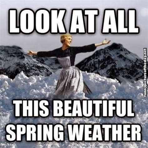 Look At All This Beautiful Spring Weather Winter Humor Funny