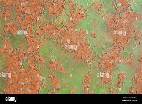 Peeling Paint Green Hi Res Stock Photography And Images Alamy