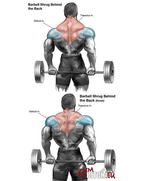 In bag exercises, you can put bricks, soil, or stones to add or increase the weight. Trapezius Exercises Healthy Fitness Workouts Body Train ...