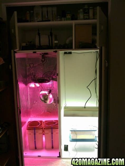 Check spelling or type a new query. 1st Time Stealth DIY Cabinet Grow- Hydro/T-5/LED Pineapple ...