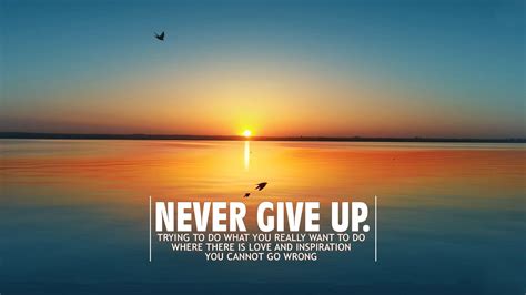 Never Give Up Quotes Wallpapers Top Free Never Give Up Quotes