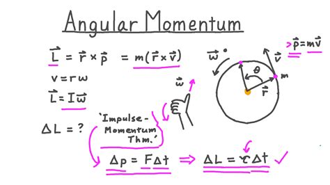 Momentum Equation