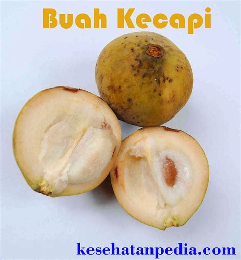 Check spelling or type a new query. Manfaat Buah Kecapi atau Sentul untuk Kesehatan ...