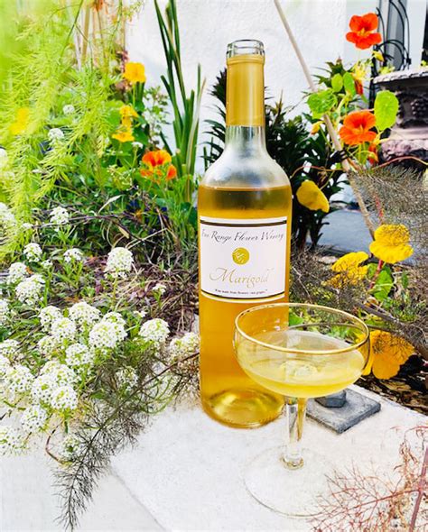 Marigold Wine ~ Californias First And Only ~ Handcrafted By Oaklands