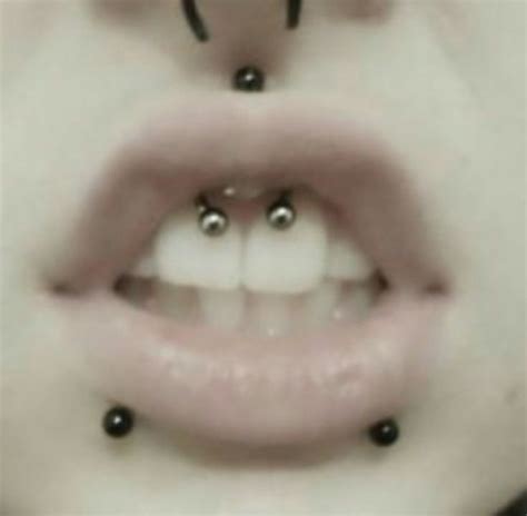 Pin By Ravingsatanist On •ᴗ• 。 In 2021 Smiley Piercing Piercing Cute Piercings