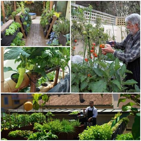 Im bio.garten.eden nehmen wir uns zeit: Biogarten auf der Terrasse - eine gesunde Selbstproduktion ...