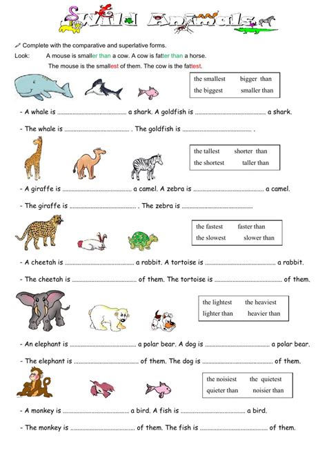 Place the word more in front of other adjectives. Comparatives and superlatives Interactive worksheet