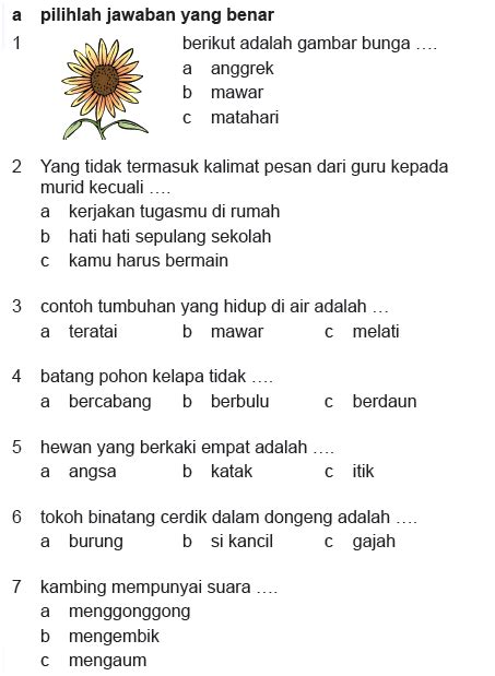 Soal Bahasa Indonesia Kelas 3 Sd Homecare24