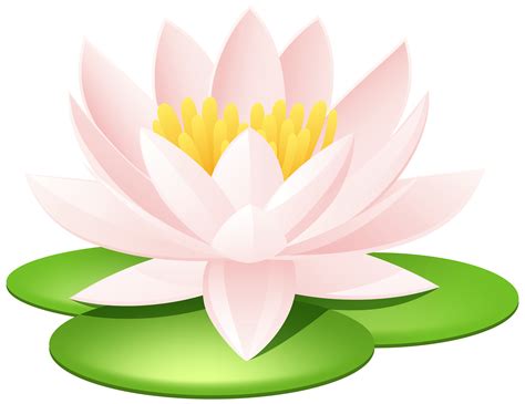 Water Lily Water Clipart Clipground
