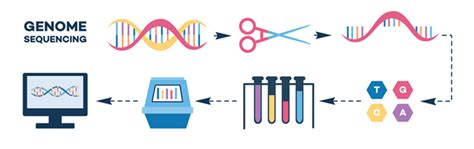 Genome Sequencing Isnt Just Gibberish Superior Tools For Pathogen