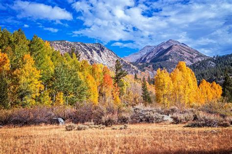 Falls Majesty Photograph By Lynn Bauer Fine Art America