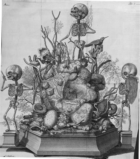 Mastery of anatomy, preservation and artistic. Work of Frederik Ruysch : creepy