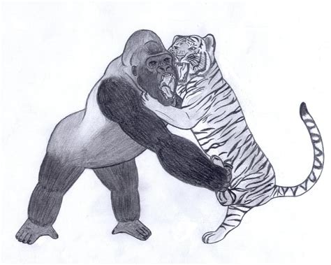 Right now, martins licis is the world&#039;s strongest man. Tiger vs Gorilla by Joe09Art on DeviantArt