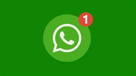 Tapi di pengaturan whatsapp ada opsi untuk membebaskan agar orang lain bisa melihat status kita, walaupun kita tidak menyimpan nomor mereka. WhatsApp Down, Tidak Bisa Kirim dan Download Gambar Serta ...