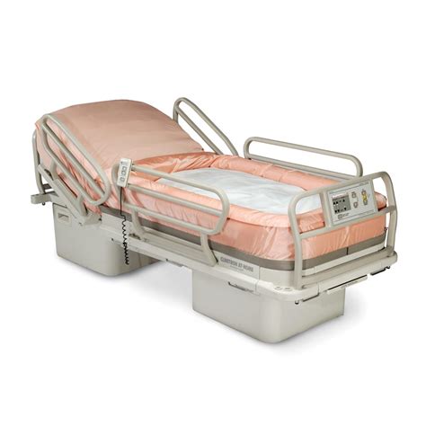 How Much Does A Clinitron Bed Cost Buyers Guide Update