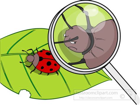 Science Clipart Magnifying Glass Bug Clipart Classroom Clipart