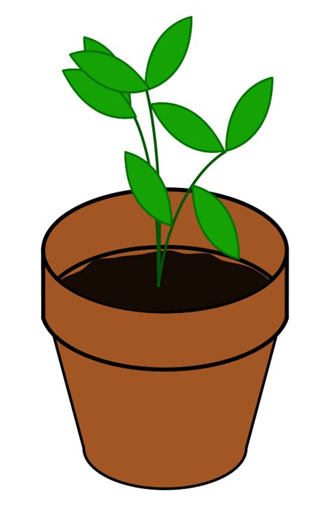 Free Plant Growing Cliparts Download Free Plant Growing Cliparts Png