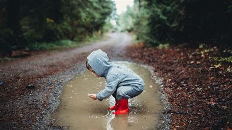 11 Fun Ideas for Exploring Nature With Kids
