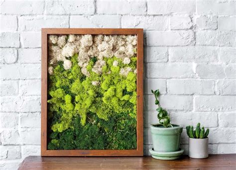 Well you're in luck, because here they come. Preserved Terrarium Moss Wall Decor — Homebnc