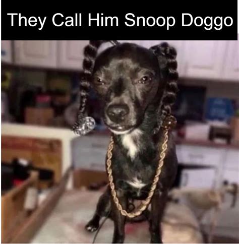 Gangsta Snoop Doggo Animals
