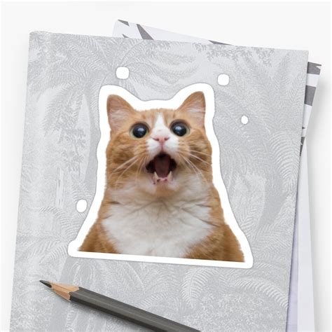 Funny Cat Face Stickers By Catherine Dolan Redbubble