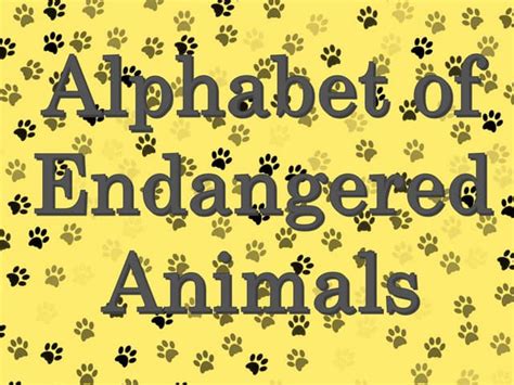 Alphabet Of Endangered Animals 2018 Ppt